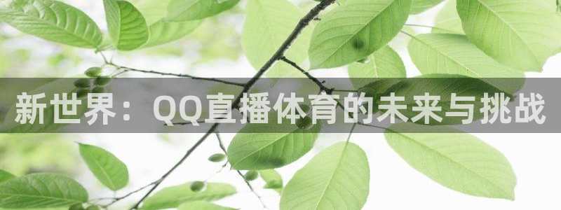 新世界：QQ直播体育的未来与挑战