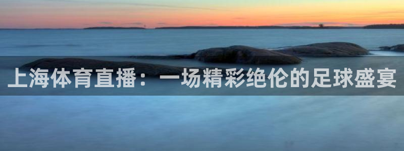 上海体育直播：一场精彩绝伦的足球盛宴