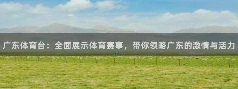 广东体育台：全面展示体育赛事，带你领略广东的激情与活力