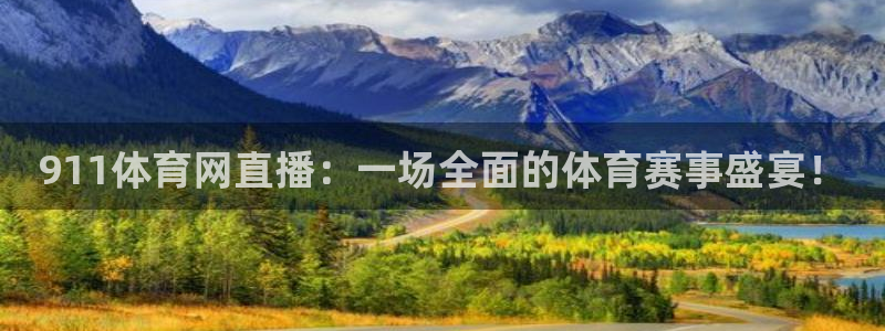 911体育网直播：一场全面的体育赛事盛宴！